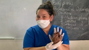 medical elective tanzania dar es salaam